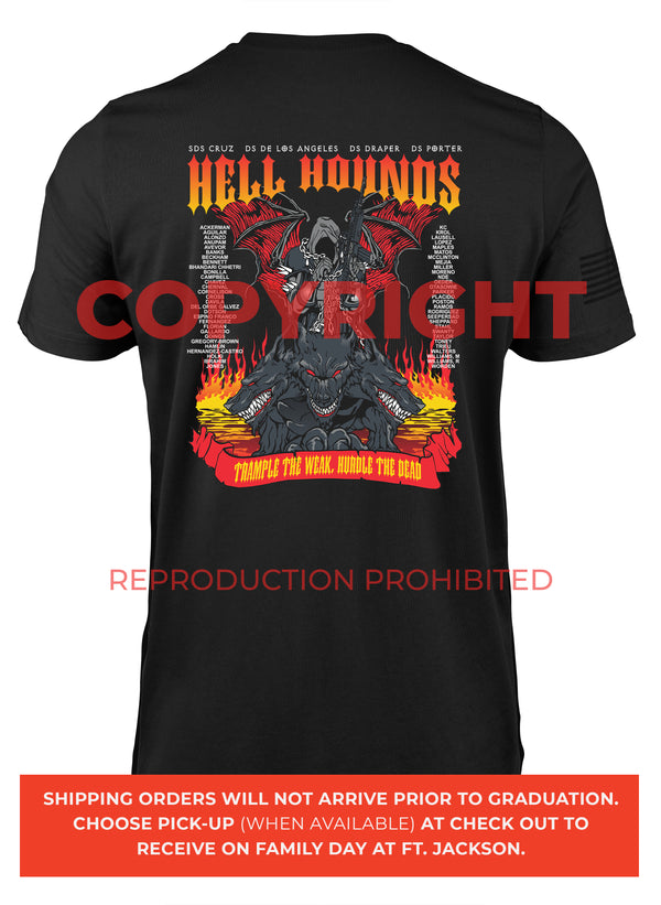 4-39 Alpha, 1st Platoon - HELL HOUNDS - 06.11.26 GRAD